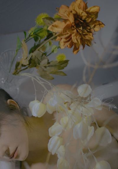 黄色影片一级_1080P免费在线播放